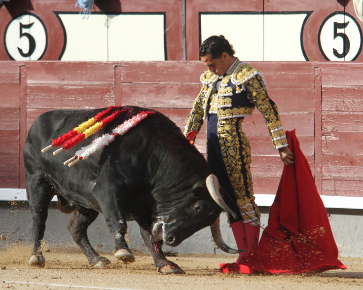 Ivan Fandino killed in bullfight