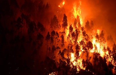 Portugal forest fires Pedrogao Grande