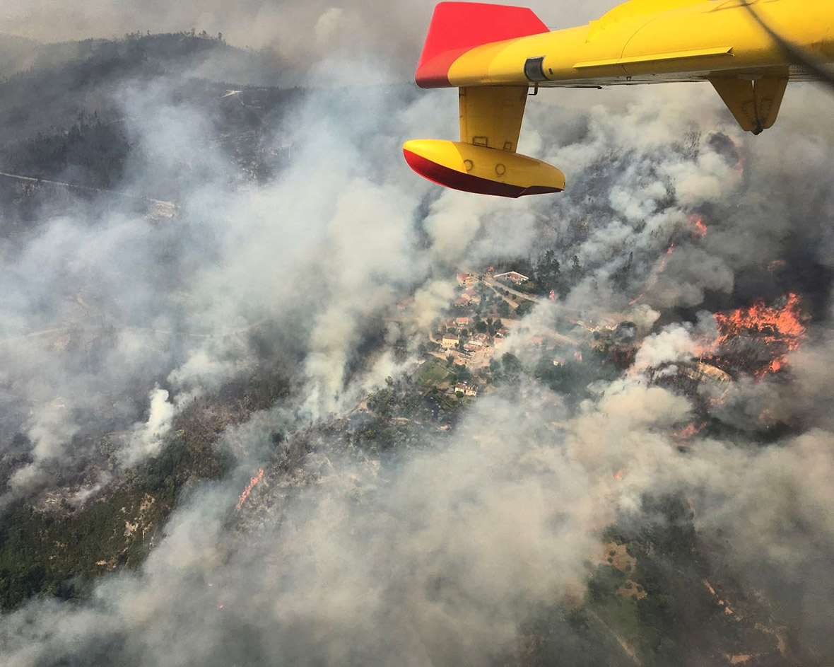 Photos Portugal 'close to taming' deadliest forest fire in living memory