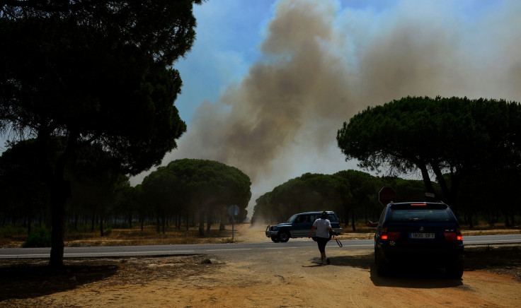 spain donana national park forest fire