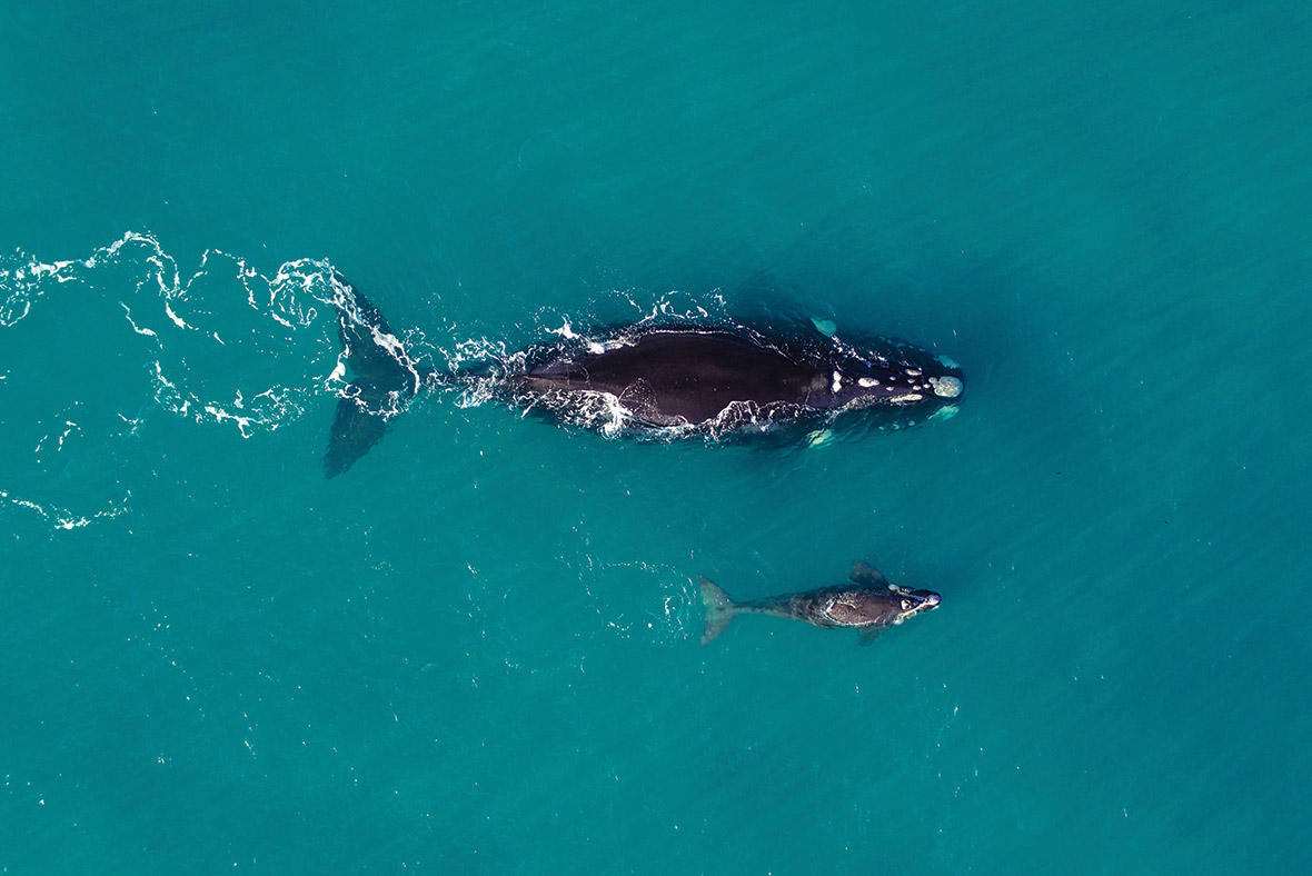 Drone photography and video masterclass Drone photography and video masterclass