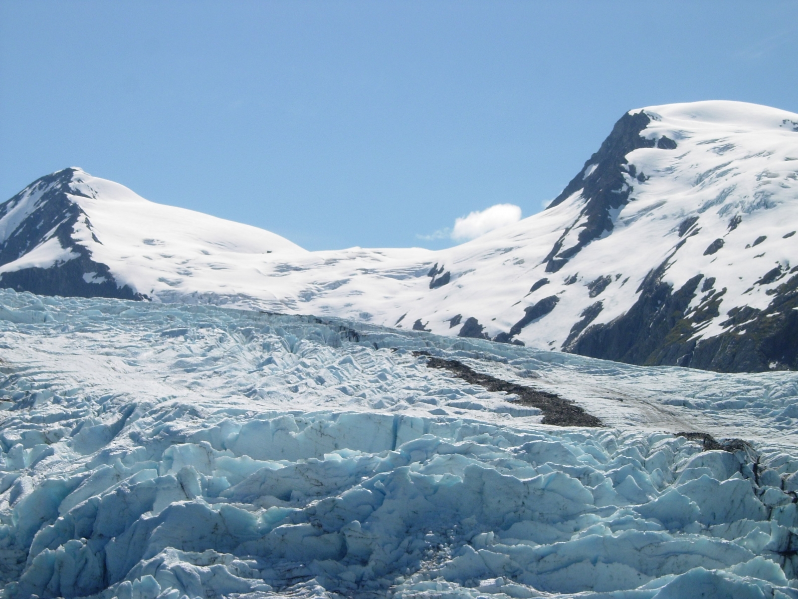 mass extinction mass extinction