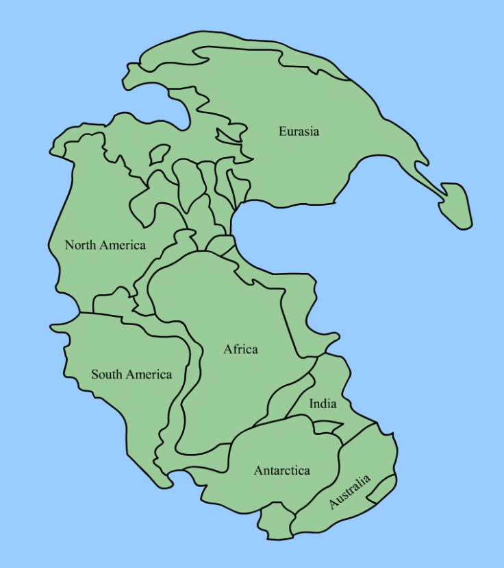 Pangea mass extinction 