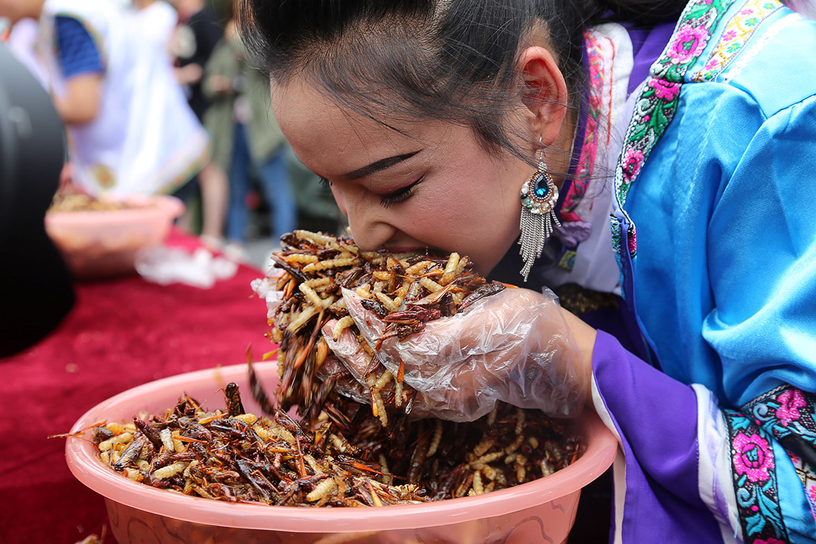 insect eating competition