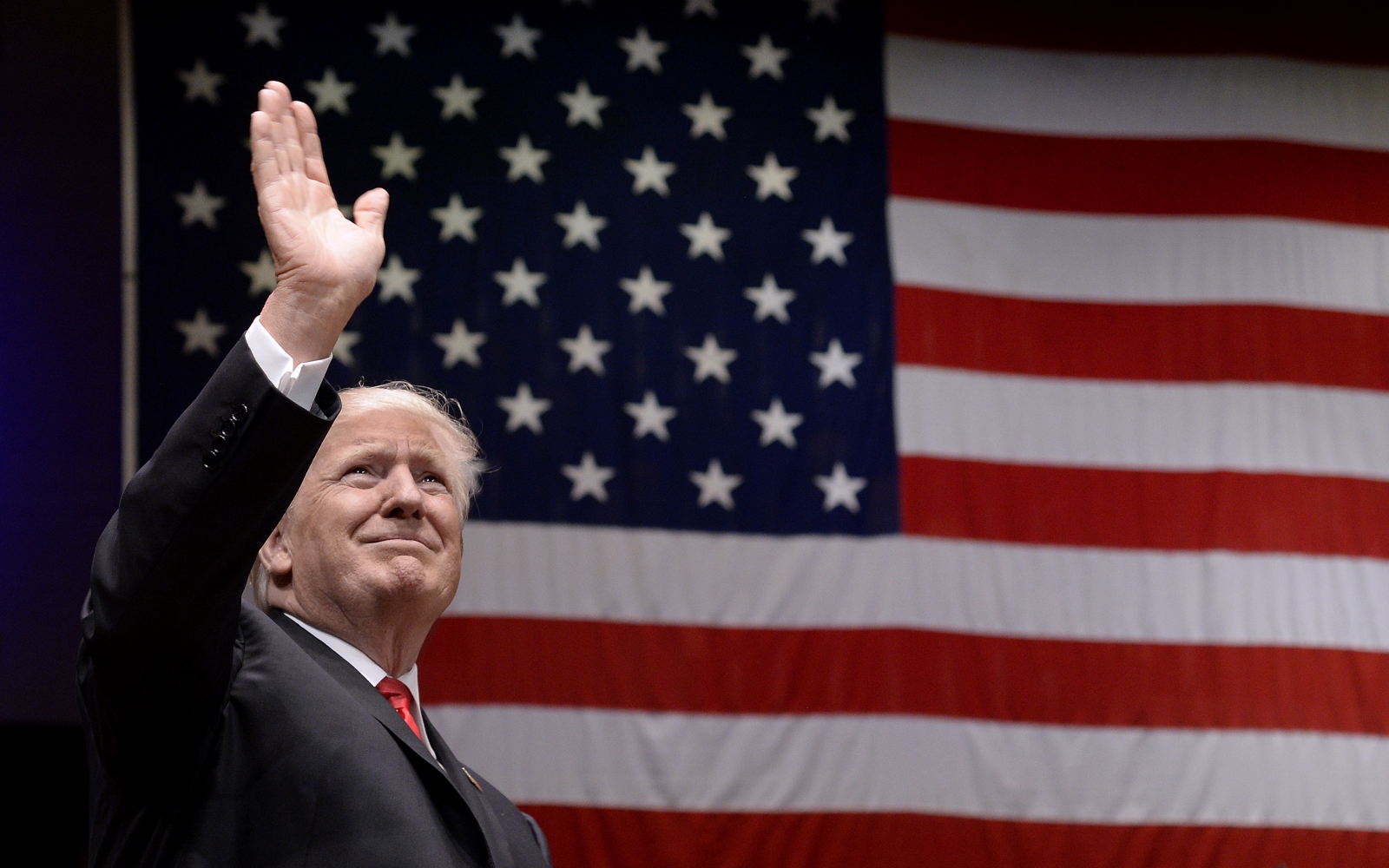 donald trump donald trump