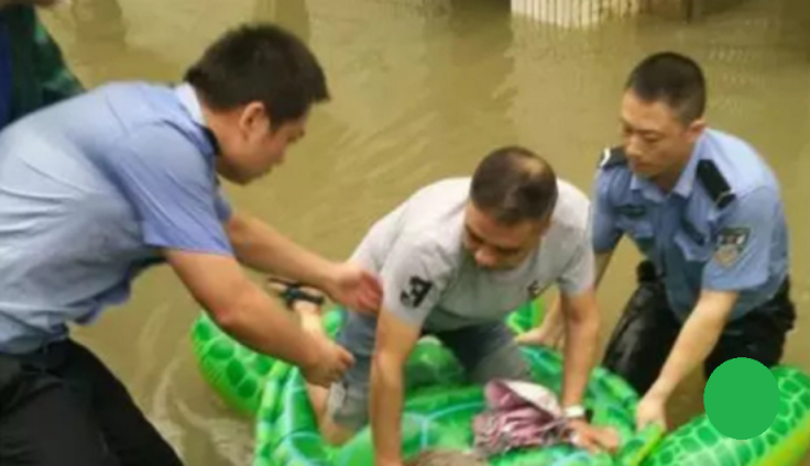 China floods turtle