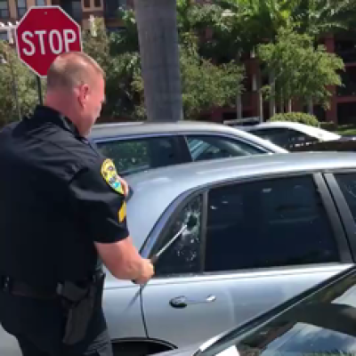 Florida police break a window to rescue dog trapped in a hot car
