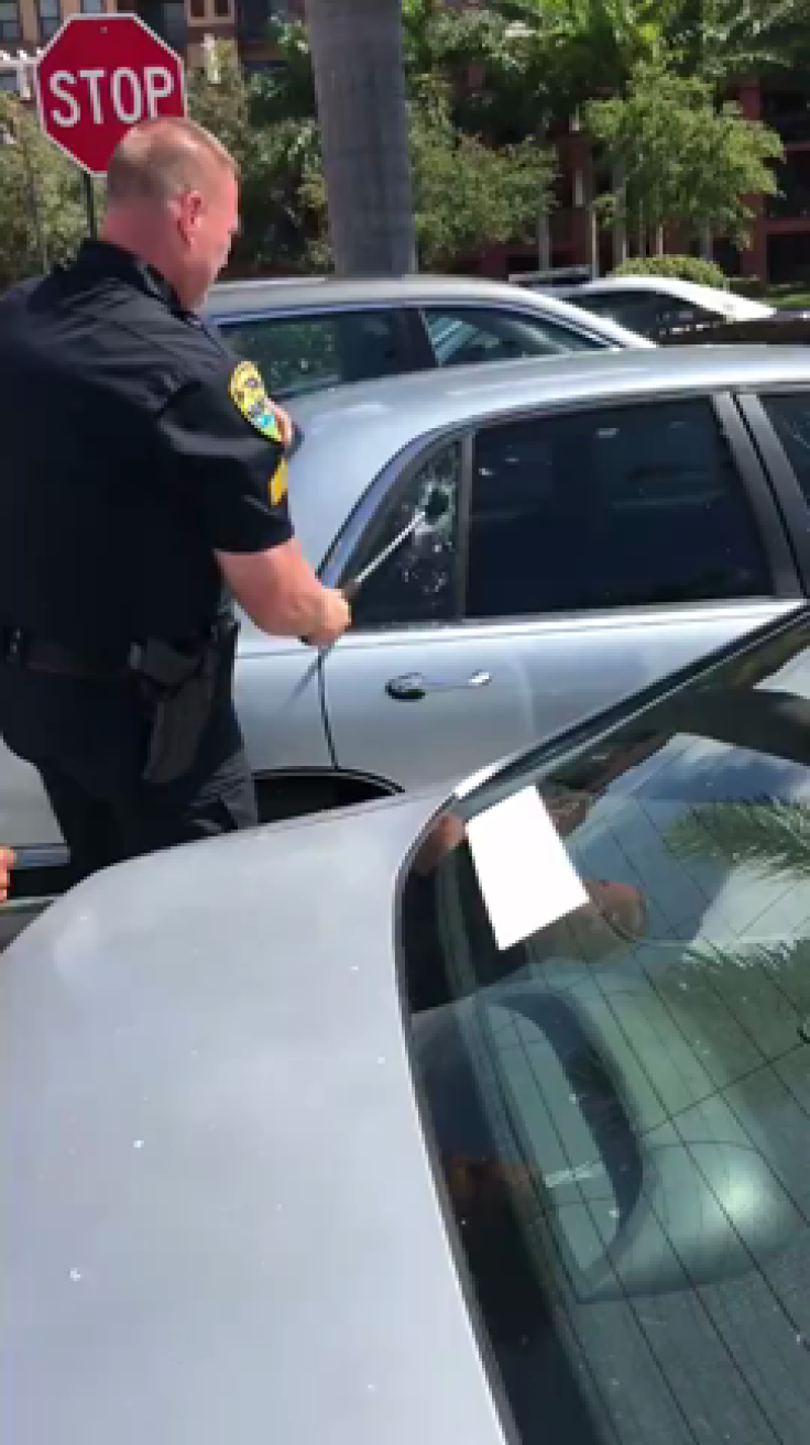 Florida police break a window to rescue dog trapped in a hot car
