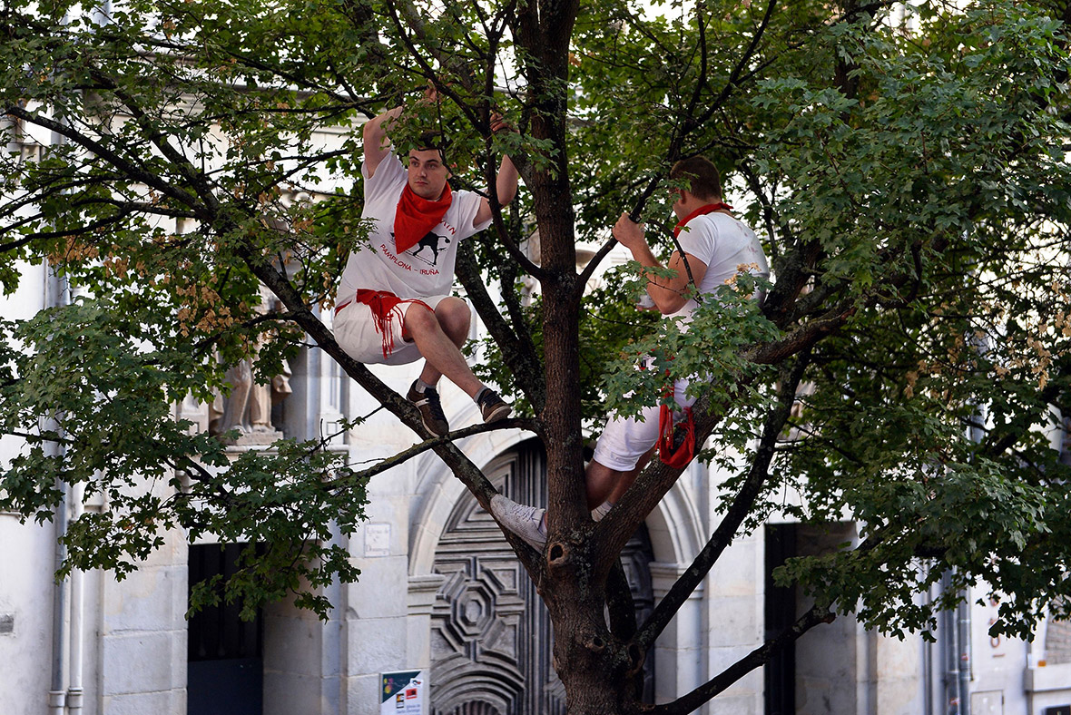 Pamplona 2017