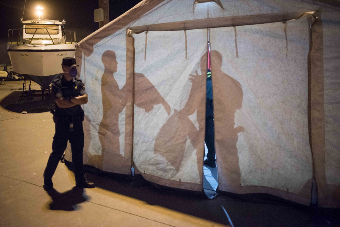 IBTPOTY2017 Pictures of the week