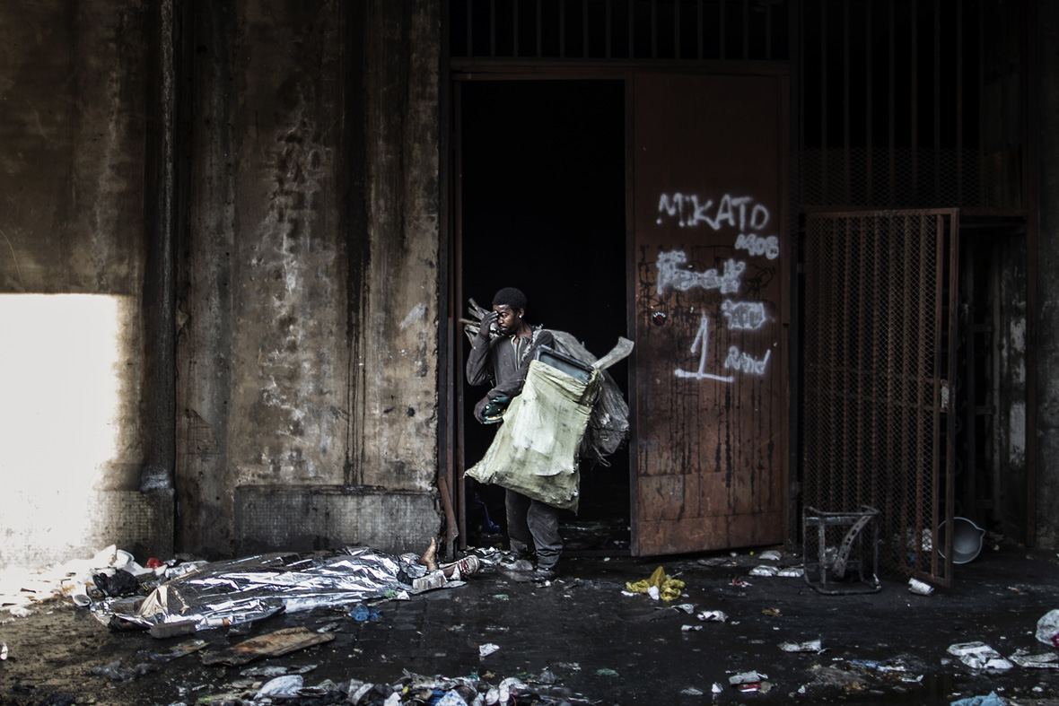 IBTPOTY2017 Pictures of the week