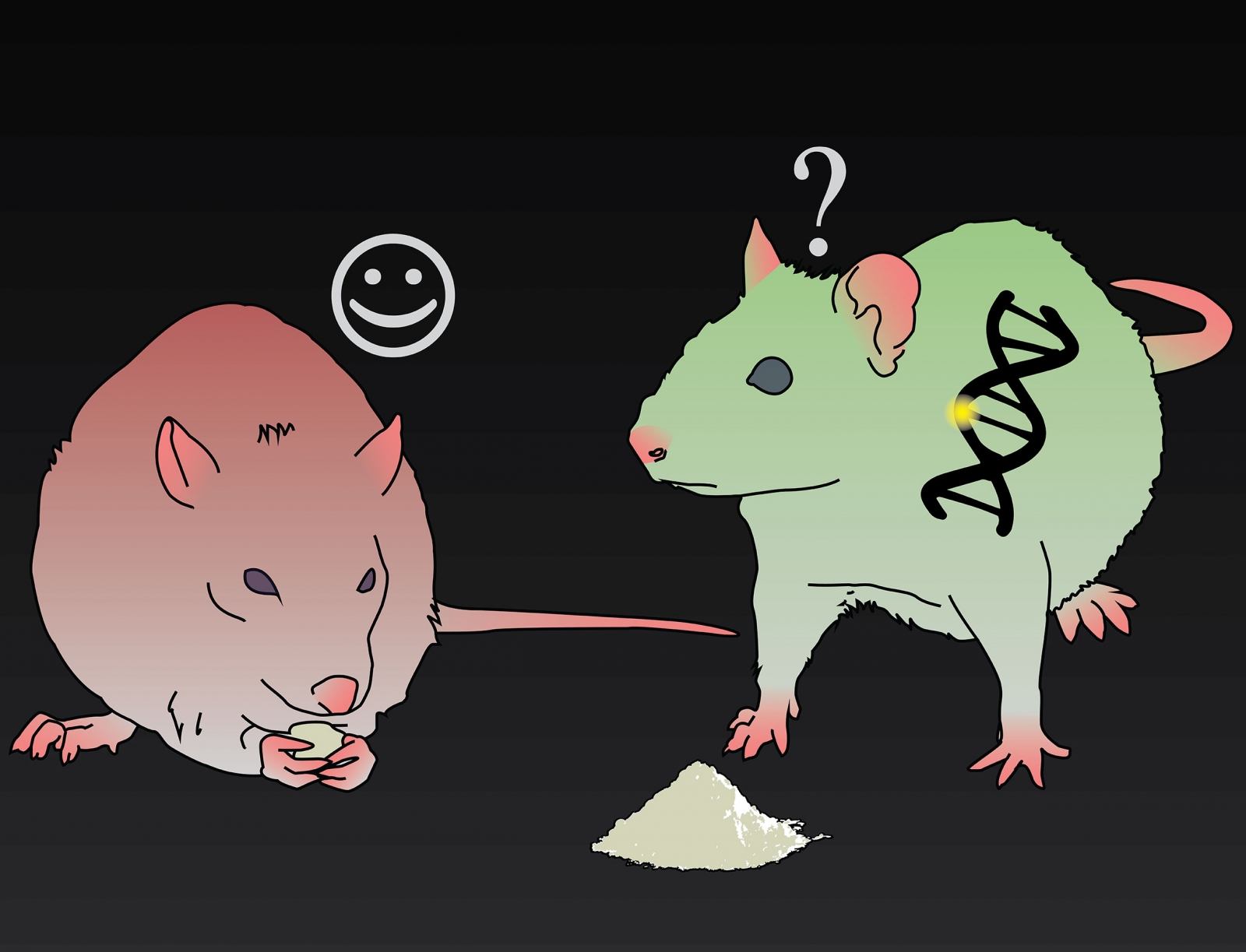 cocaine addiction cocaine addiction