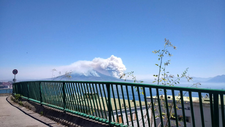 Italy wildfires