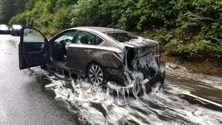 A car covered in eel slime