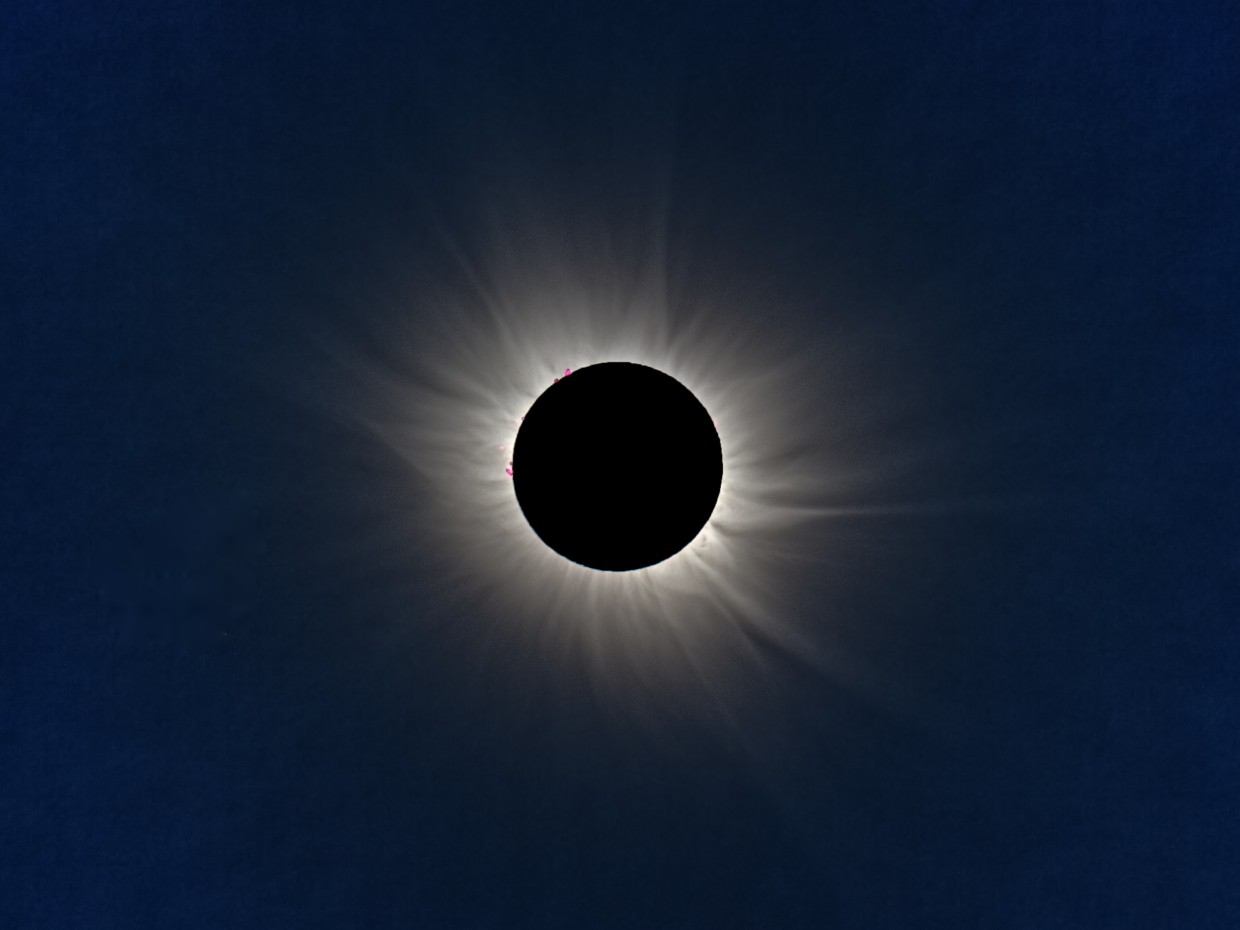 Watch The Mist Online Ibtimes Watch The Mist Online Ibtimes