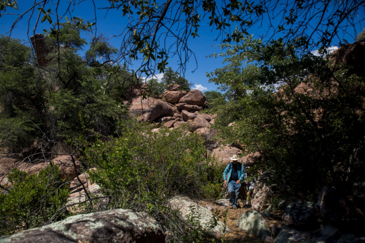 Tonto National Forest