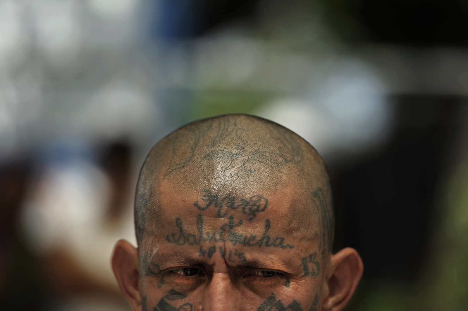 MS-13