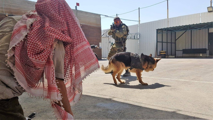 Counter-terrorism boot camp in West Bank 