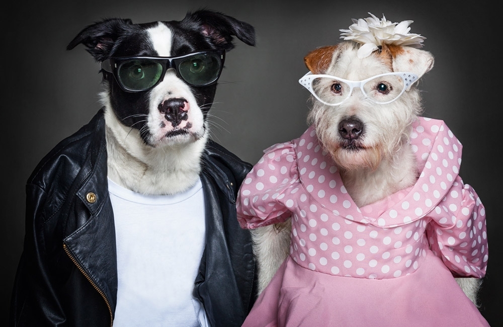 Dog People Photos show what dogs would look like if they were human