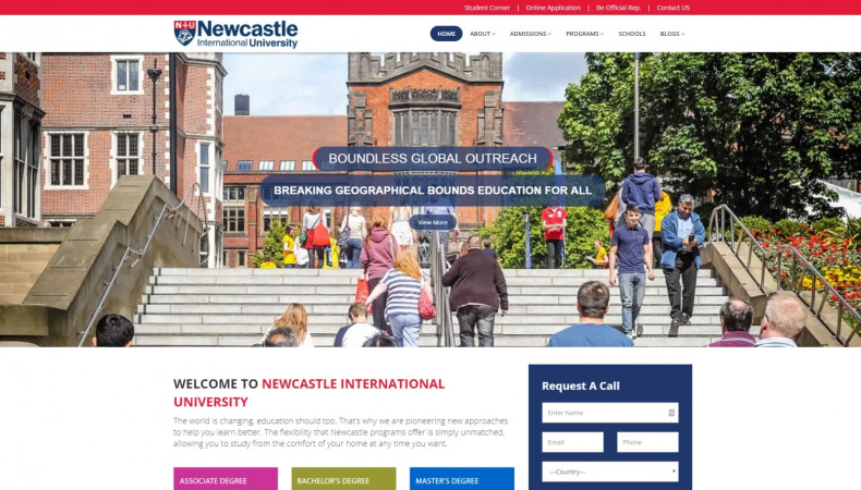 The fake Newcastle University website 