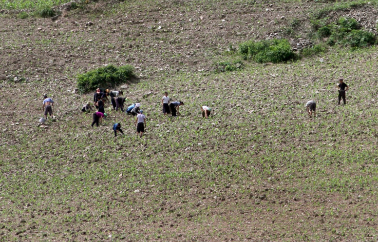 North Korea drought