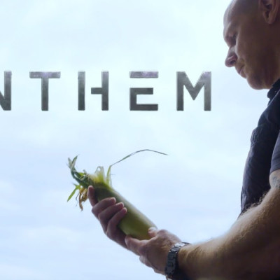 Anthem Corn Maze Bioware