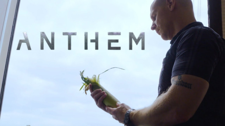 Anthem Corn Maze Bioware