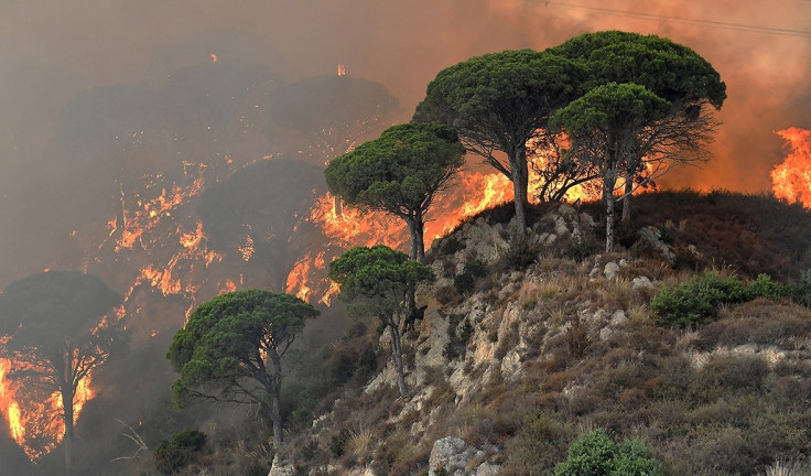 Southern Europe wildfires