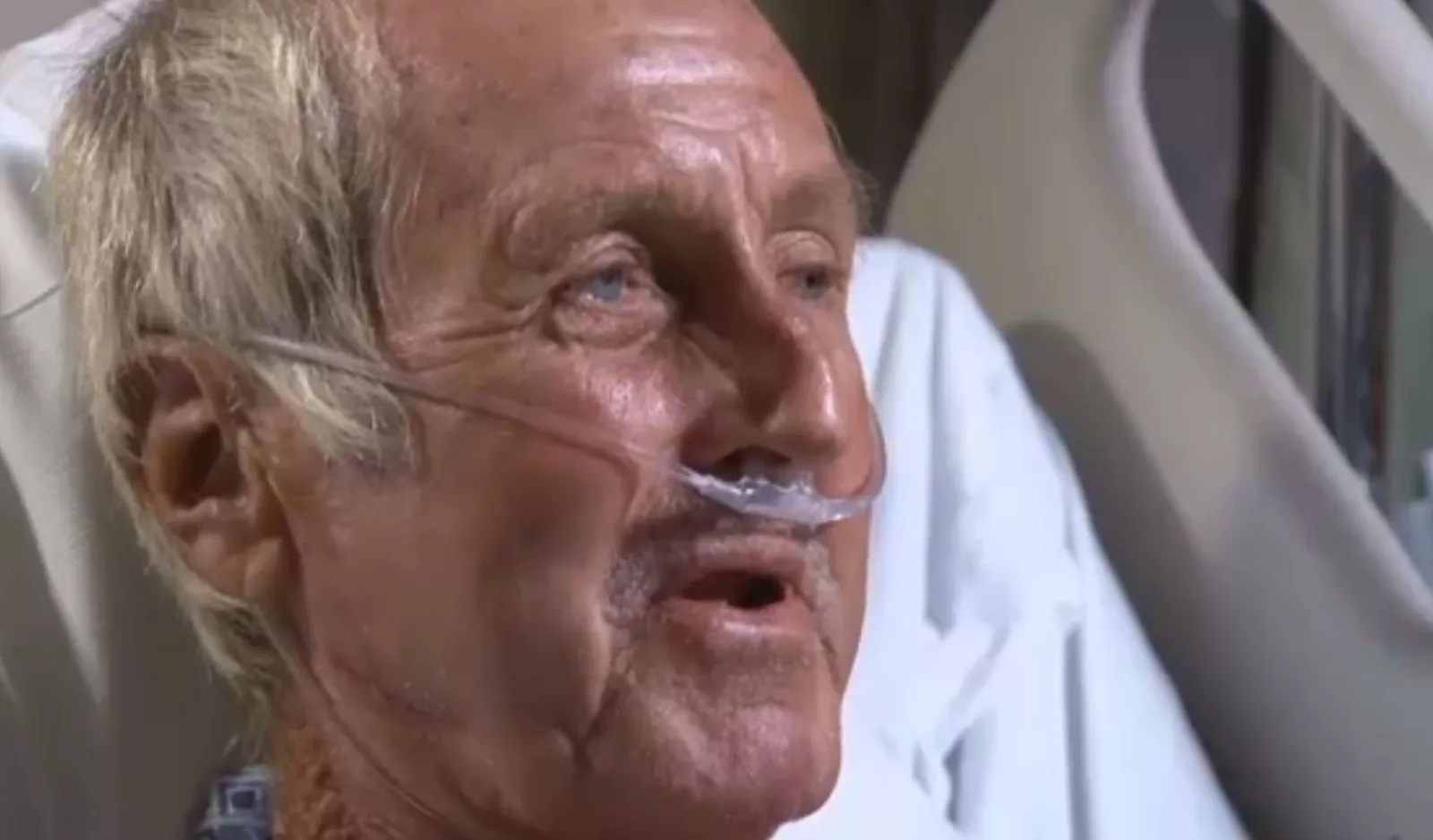 Homeless man has testicle, finger and toes bitten off by 9ft alligator - Vimarsana News