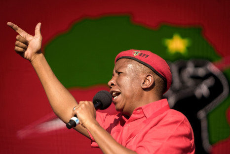 Julius Malema EFF South Africa