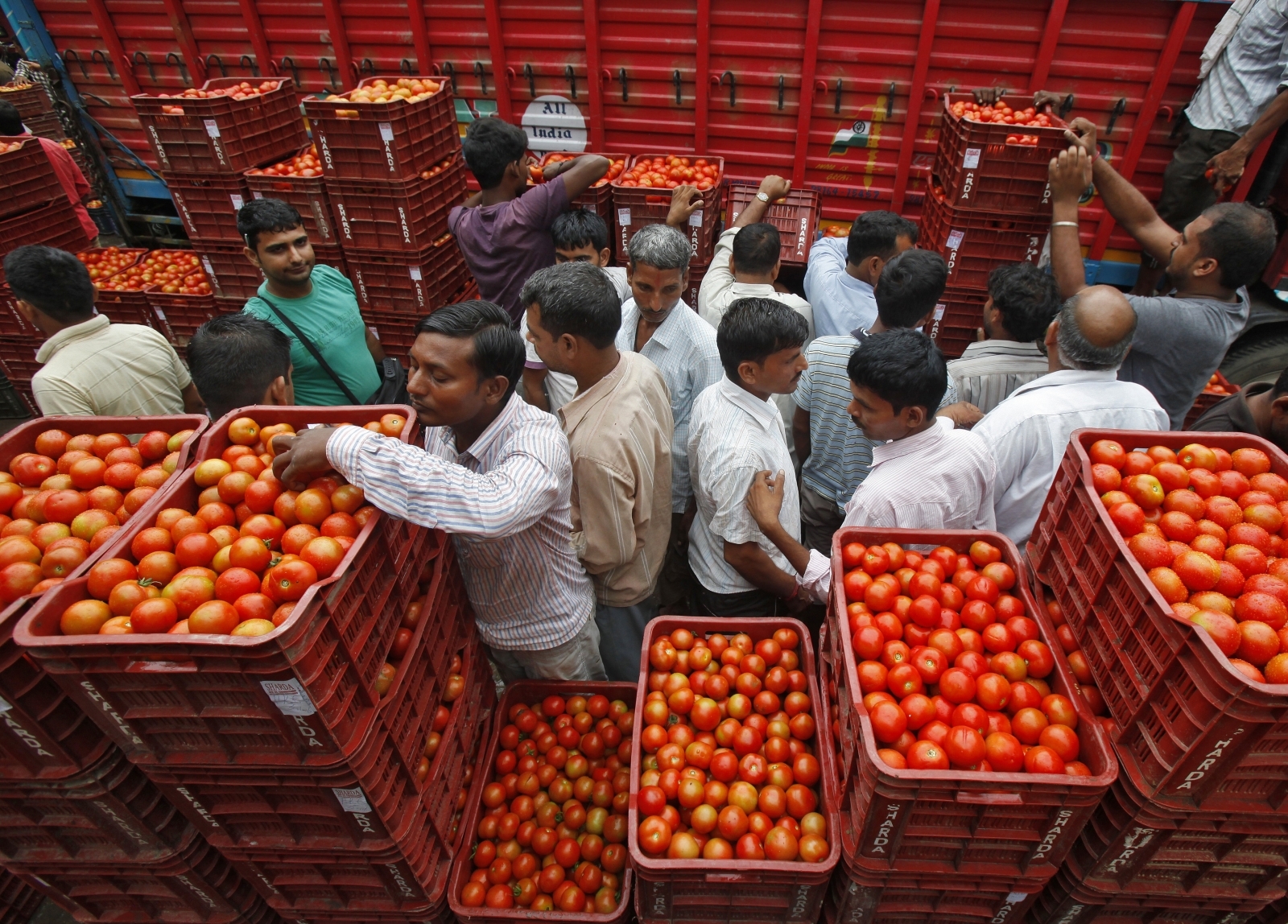 India's opposition party starts 'State Bank of Tomato' to counter