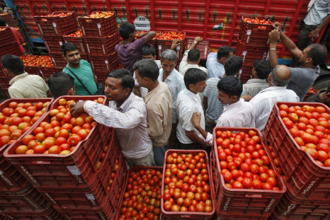 Tomatoes, India