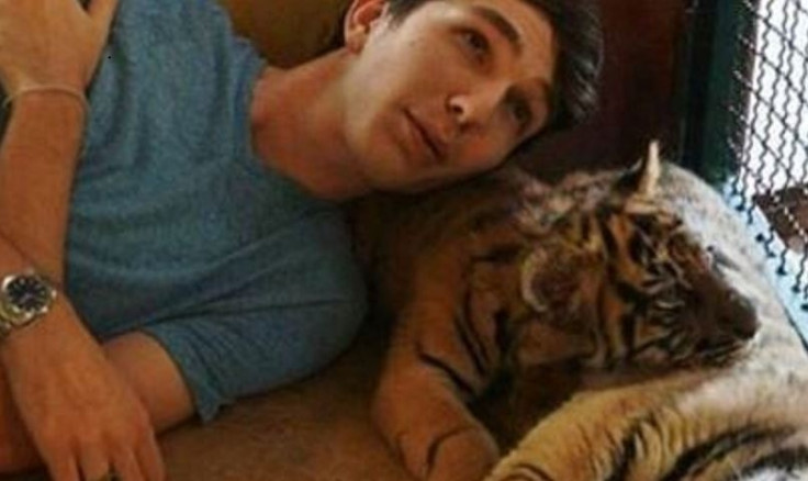 Tinder tiger selfies