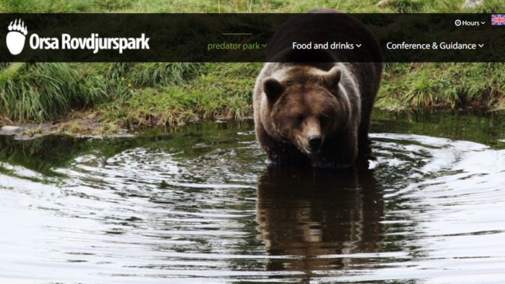 Zookeeeper mauled by bear Zookeeeper mauled by bear