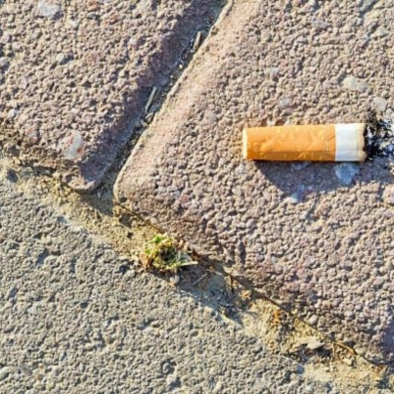 manitou cigarettes price Manitou manitou cigarettes price Manitou