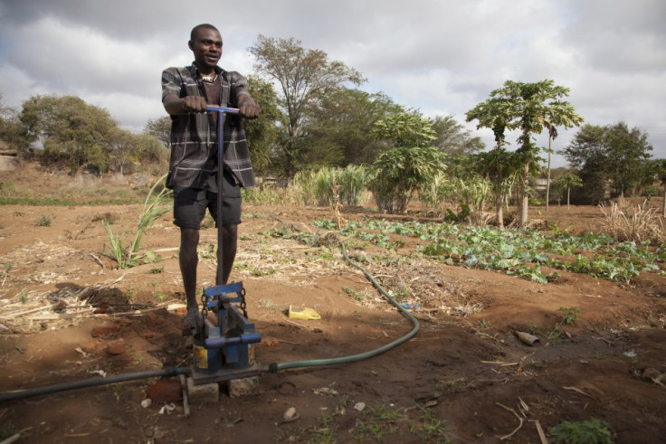 A farmer uses a foot pump to irrigate his crops in Mwingi