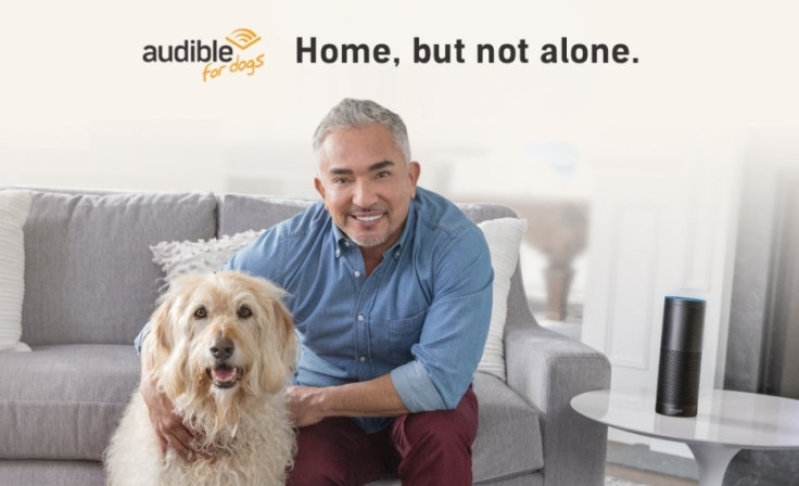 Audible for dogs