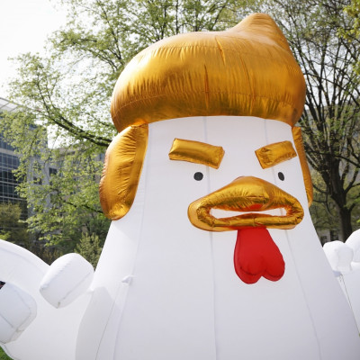 Trump Chicken