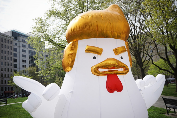 Trump Chicken