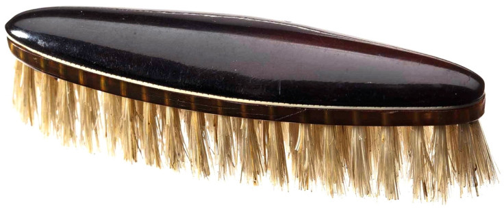 Hitler's moustache brush