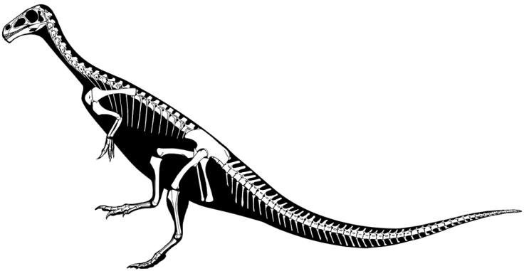 Chilesaurus