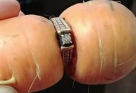 Ring on a carrot Ring on a carrot