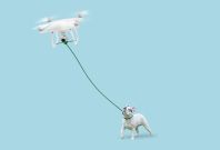 Dog walking drone