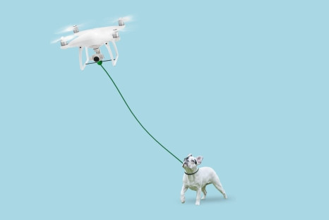 Dog walking drone