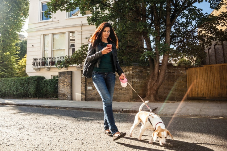 smartphone behaviour dogs