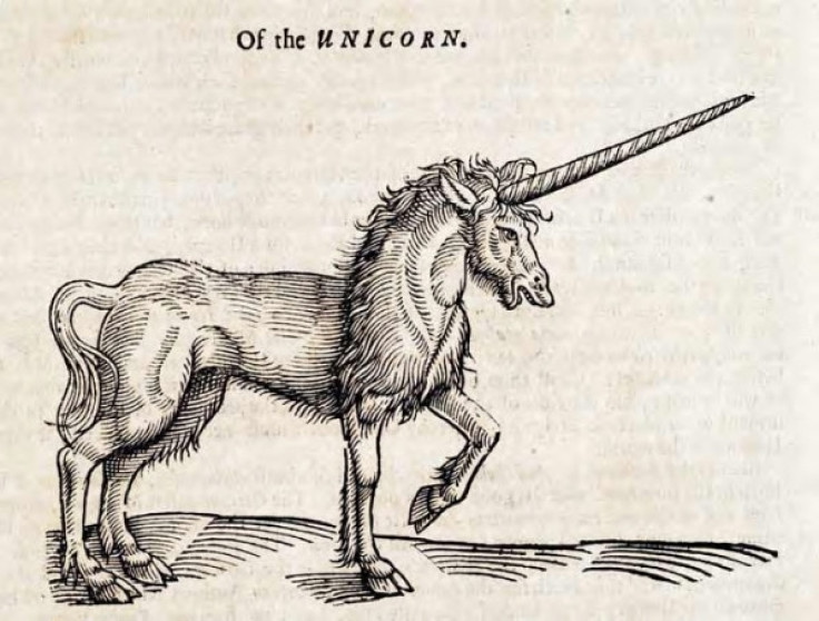 Unicorn