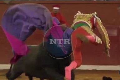 Matador impaled by bull