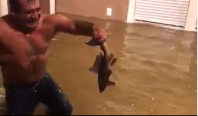 Hurricane Harvey: Video of man fishing in flooded Houston home goes viral