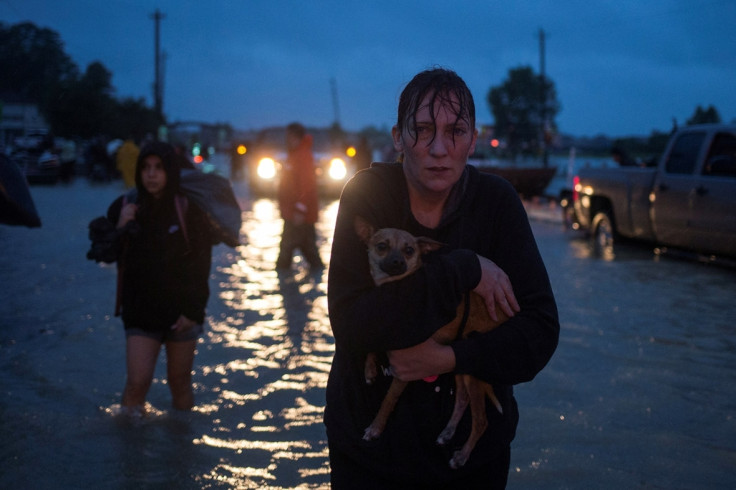 Hurricane Harvey