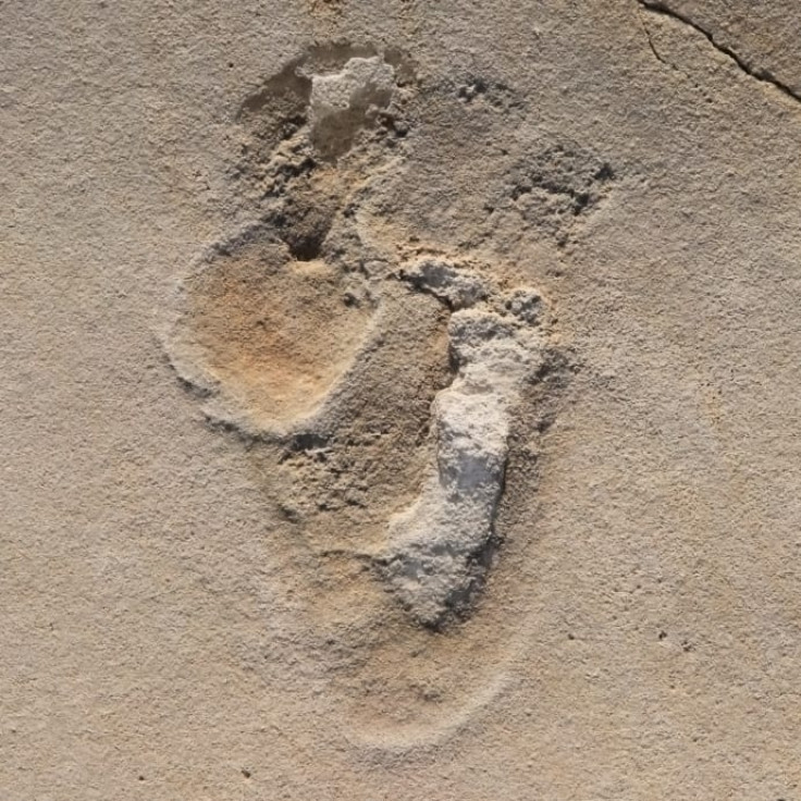 Human-like fossil footprints found in Crete